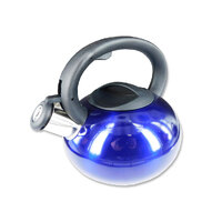 2.5L STAINLESS STEEL WHISTLING KETTLE - BLUE